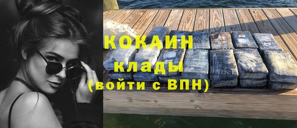 стаф Верея