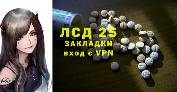 стаф Верея