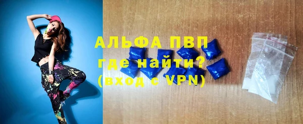 стаф Верея